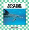Spotted_dolphins