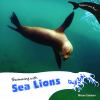 Swimming_with_sea_lions