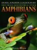 Tree_frogs__mud_puppies____other_amphibians