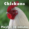 Chickens___Playlist_